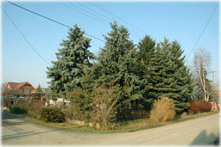 A sarokr�l is elt�nt a h�z k�pe